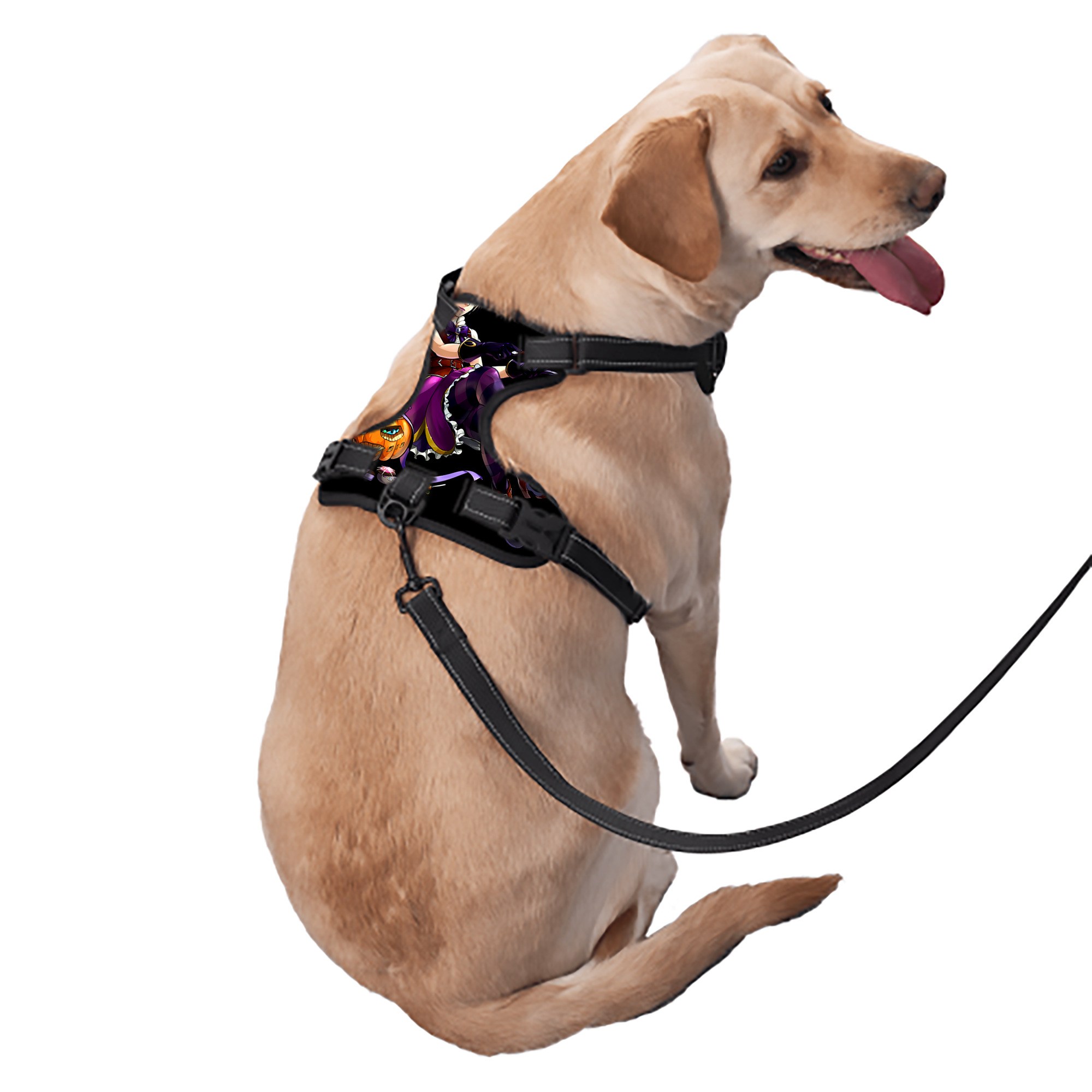 （画像用） 進撃の巨人 アニ・レオンハート Attack on Titan Annie Leonhart ペット用ハーネス